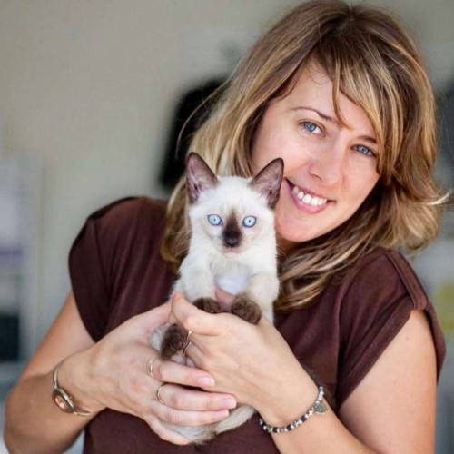 J'aime les chats et les chiens