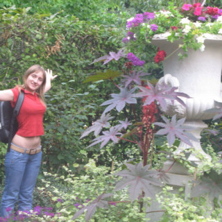 Foto van Alicealix